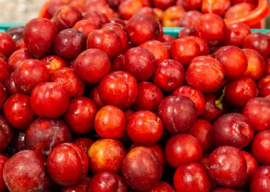 Taze kırmızı erikler.