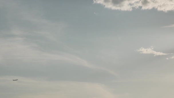 民間航空機は雲で青空を横断し 離れて移動しています — ストック動画