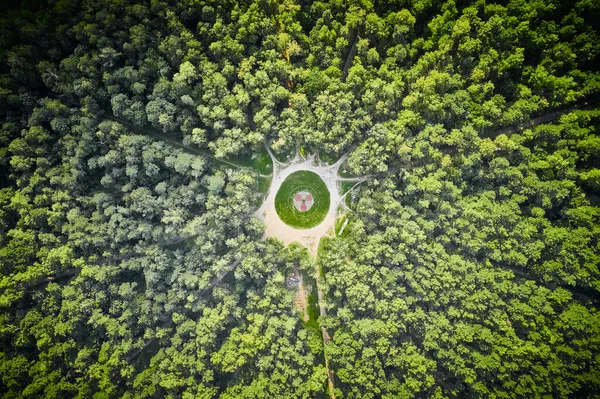 Yoğun Ormanın Ortasında Küçük Bir Meydan Yukarıdan Aşağıya Doğru Her — Stok fotoğraf