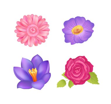 Poster dekor, vektör çizim çiçek seti