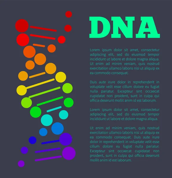 ADN Nucleótidos de cadena de ácido desoxirribonucleico Póster — Archivo Imágenes Vectoriales