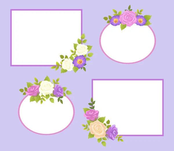 Ensemble de cadres photo couleur Rose et fleurs de marguerite — Image vectorielle