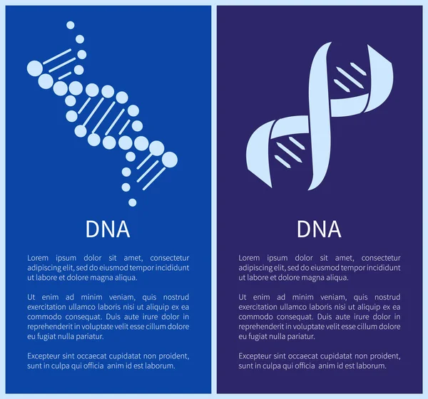 DNA Set di spirali bianche isolate su sfondo blu — Vettoriale Stock