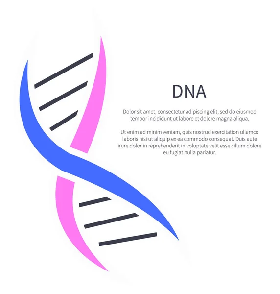 Logotipo de ADN de los nucleótidos que llevan información genética — Archivo Imágenes Vectoriales