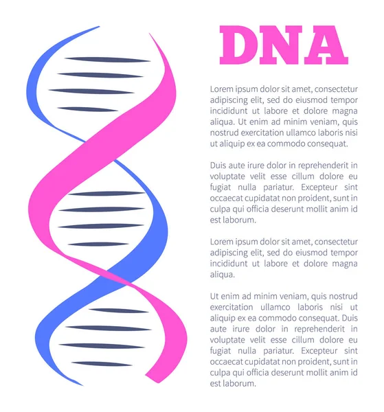 Logotipo DNA dei nucleotidi che trasportano informazioni genetiche — Vettoriale Stock