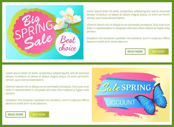 Venta de primavera Web Poster Descuento mariposa colorida — Vector de stock