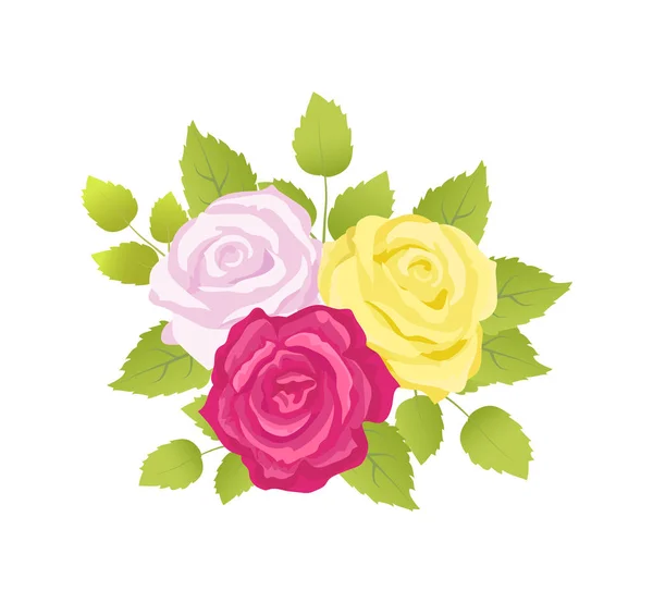 Ensemble d'affiches Bouquet de roses Illustration vectorielle — Image vectorielle