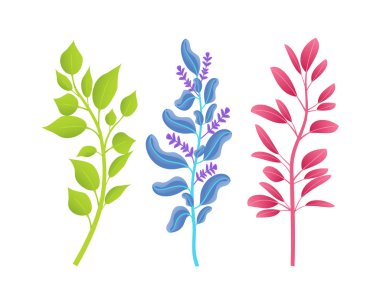 Vahşi doğal bitki kümesinin küçük ince dalları