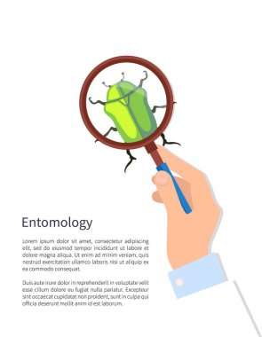 Entomoloji Poster ve metin vektör çizim
