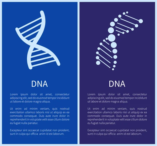 DNA Set di spirali bianche isolate su sfondo blu — Vettoriale Stock