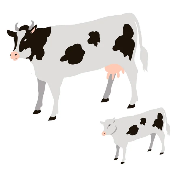 Vaca y ternera con manchas negras Vector aislado — Vector de stock