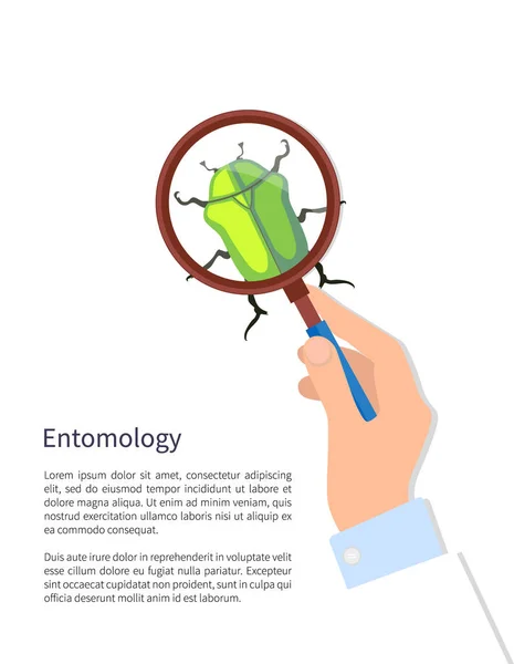 Manifesto entomologico e illustrazione vettoriale testuale — Vettoriale Stock