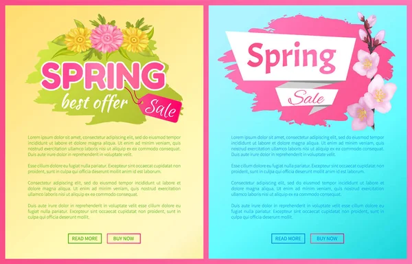 Venta de primavera Publicidad Etiqueta Sucursal de Sakura — Vector de stock