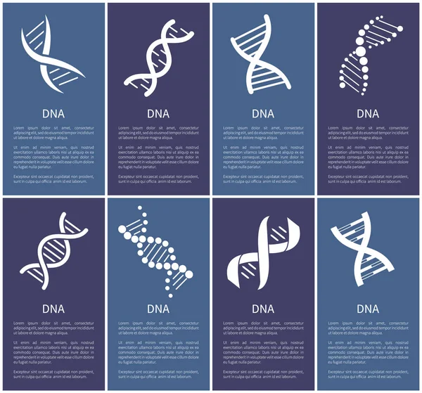 DNA Set of White Spirals Isolated on Blue Backdrop — Stock Vector