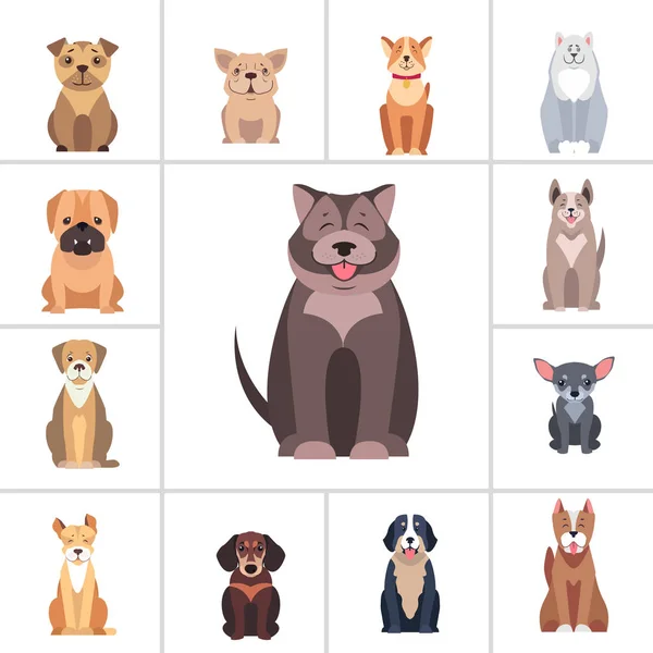 Schattig rasechte honden Cartoon platte vectoren Icons Set — Stockvector