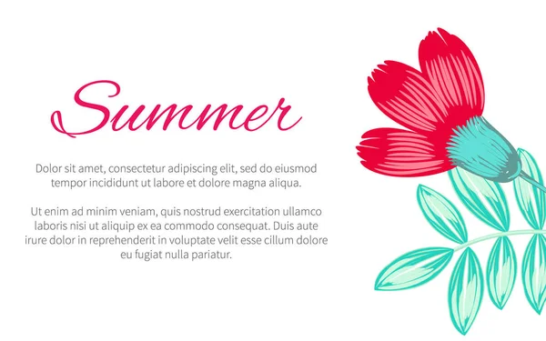 Tema de verano Hermoso cartel Vector Ilustración — Vector de stock