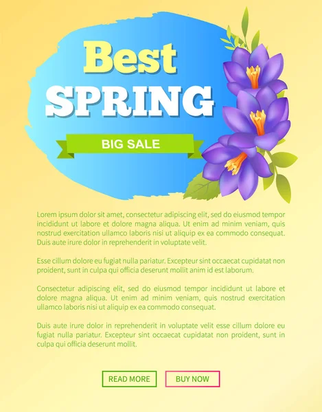 Besten Frühling großen Verkauf aus Web-Poster Online-Buttons — Stockvektor