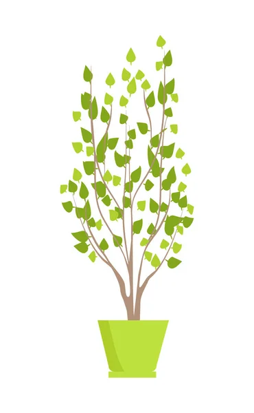 Plant of Green Color in Pot Vector Illustration — Stock Vector