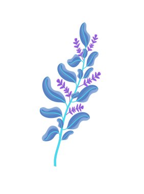 Olgun çiçeği ile aromatik taze Melissa şube