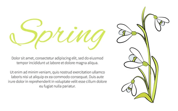 Banner floral de primavera com texto, feito de gotas de neve —  Vetores de Stock