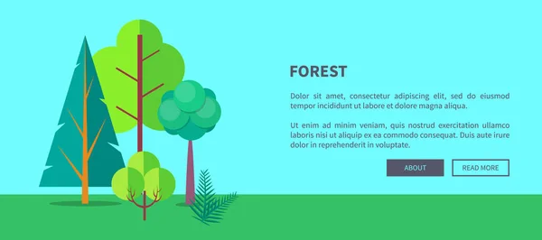 Banner web de vectores forestales con árboles y arbustos — Archivo Imágenes Vectoriales