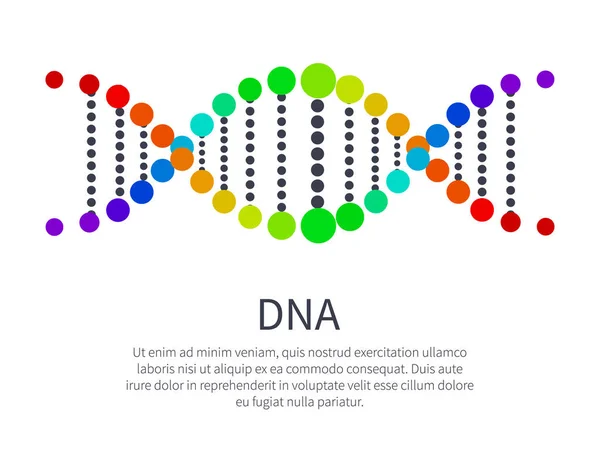 Icona DNA del Codice Genetico, Acido Desossiribonucleico — Vettoriale Stock