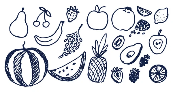 Lot of Black Hand Drawn Fruits Vector Illustration — Stock Vector