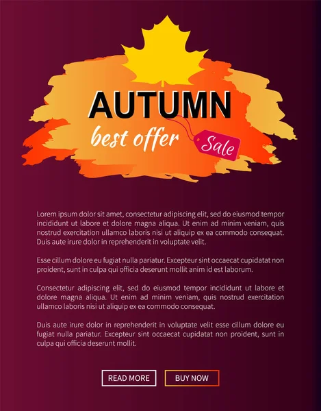 Das beste Angebot Herbst Verkauf -35 Werbung Promo Poster — Stockvektor