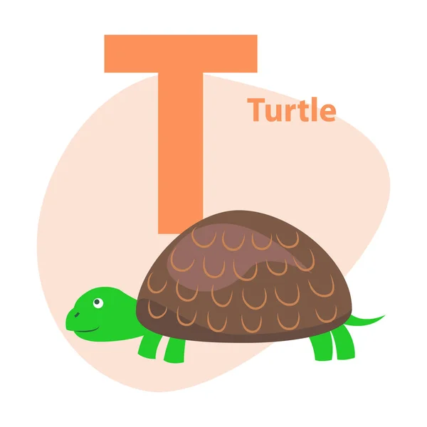 Carta Zoo ABC con lindo vector de dibujos animados tortuga — Vector de stock
