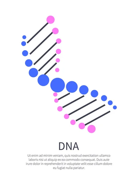 Parte del DNA umano sul poster dell'informazione scientifica — Vettoriale Stock