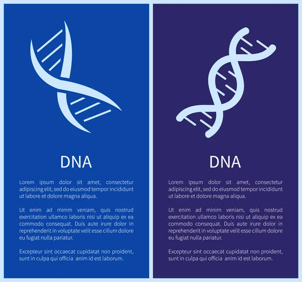 Набор ДНК белых спиралей, изолированных на голубом фоне — стоковый вектор
