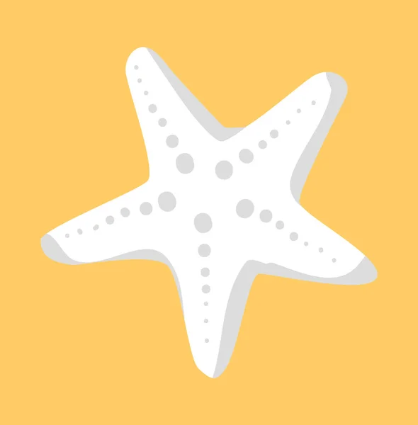 Étoile de mer blanche ou étoile de mer Échinoderme en forme d'étoile — Image vectorielle