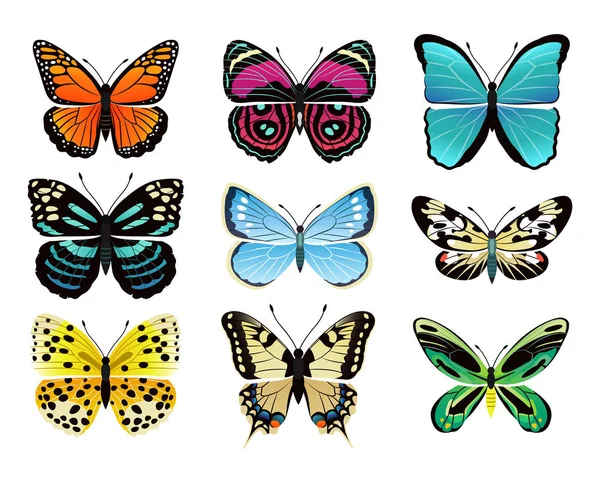 Vlinders typen collectie vectorillustratie — Stockvector