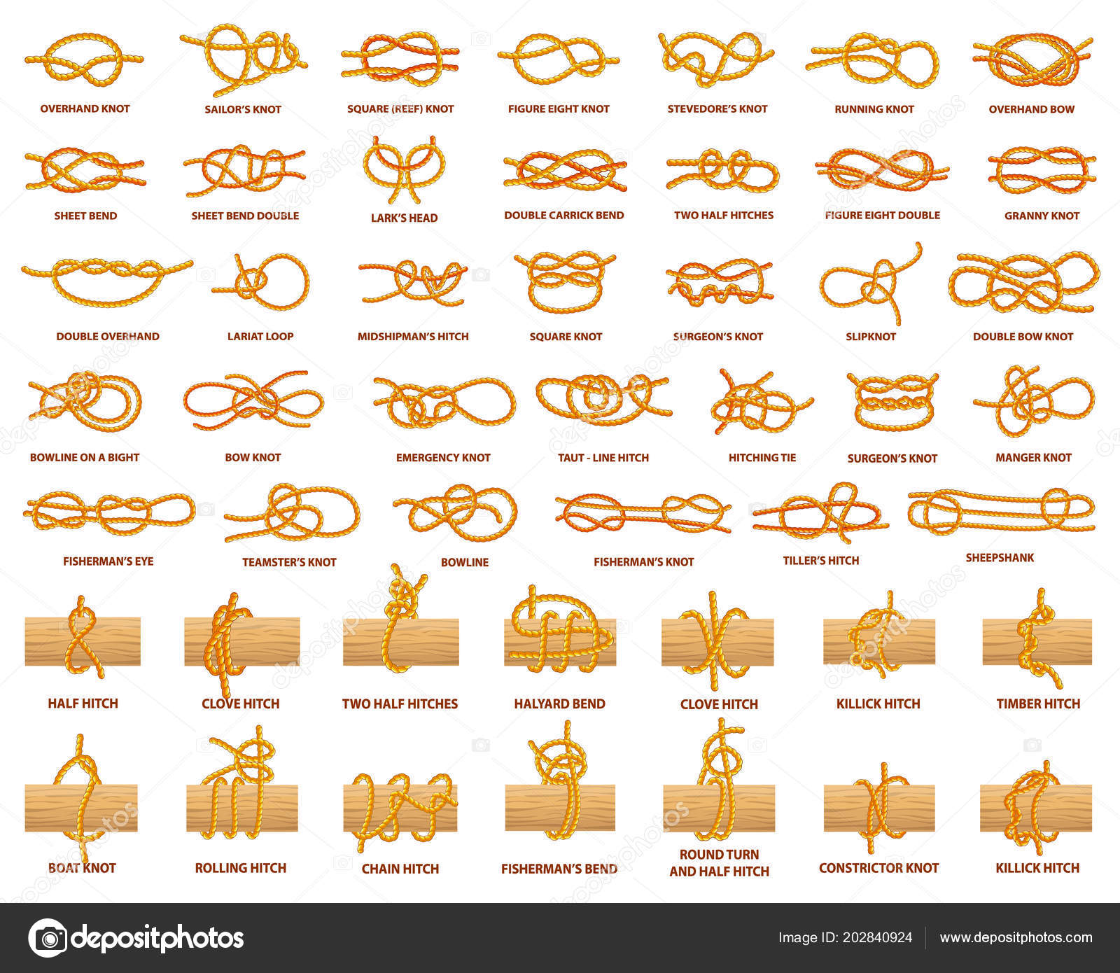 Todos los tipos de nudos demostrados con cuerda fuerte Vector de stock  #202840924 de ©robuart