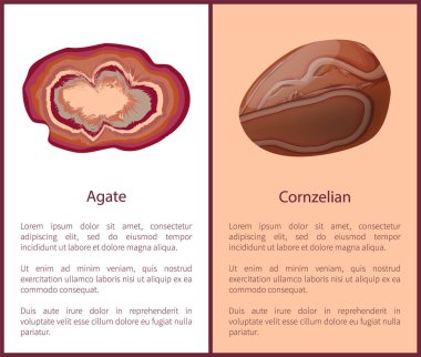 Akik ve Carnelian veya akik kahverengi-kirmizi Mineral