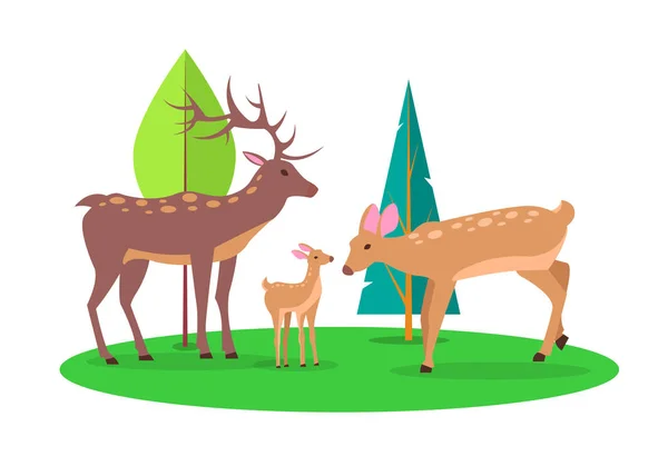 Hirschfamilie im Wald isolierte Zeichentrickillustration — Stockvektor