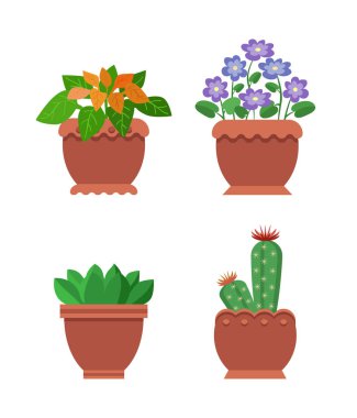 Browallia kaktüs koleksiyonu vektör çizim