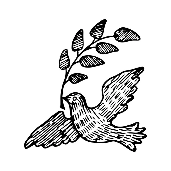 나뭇가지 벡터 일러스트와 함께 평화의 비둘기 — 스톡 벡터