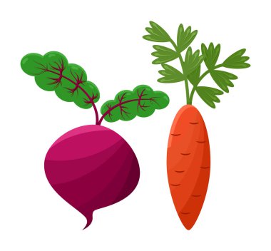 Mor kırmızı pancar ve turuncu havuç, vektör simgeler