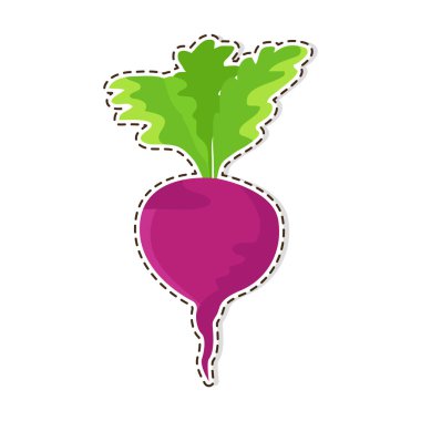 Olgun kırmızı pancar düz vektör izole etiket veya simgesi