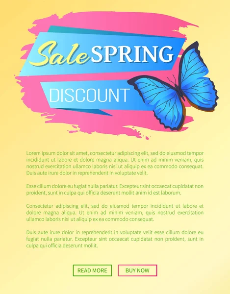 Venta de primavera Web Poster Descuento mariposa colorida — Vector de stock
