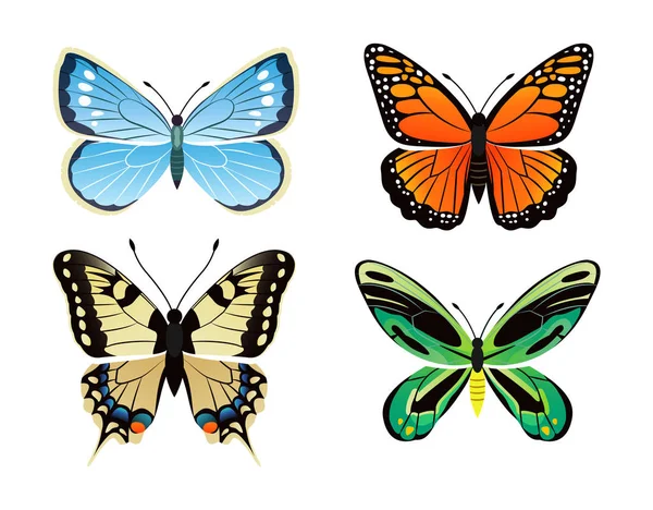 蝶の種類コレクション ベクトル図 — ストックベクタ