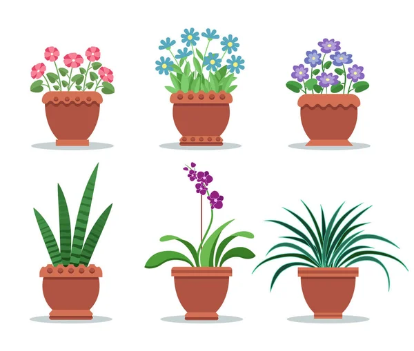 Oda bitkiler kil tencere iç tasarım dekor için