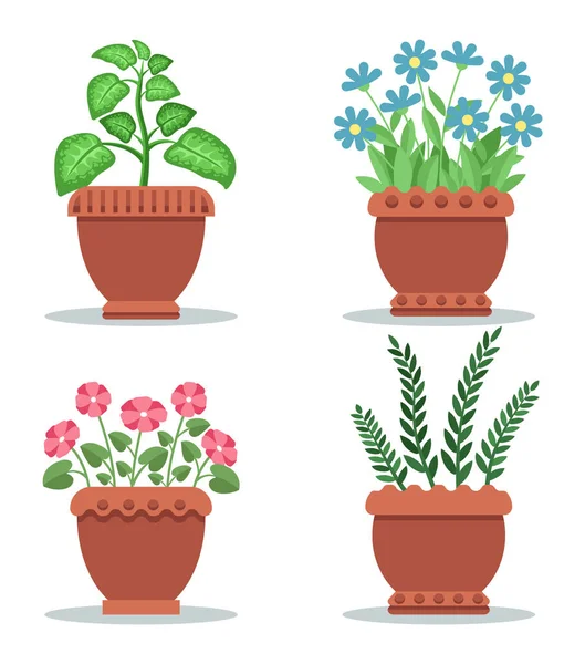 Indoor-Blattpflanzen und blühende Blumen — Stockvektor