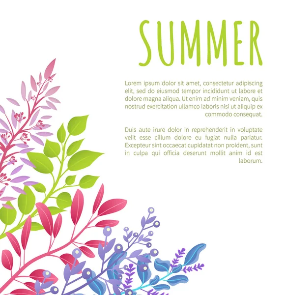 Sommer-Plakatvorlage mit bunten Zweigen — Stockvektor