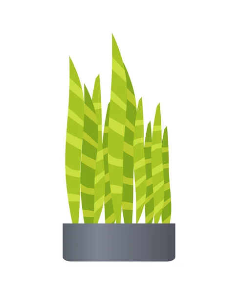 绿色矢量图的盆栽与植物 — 图库矢量图片