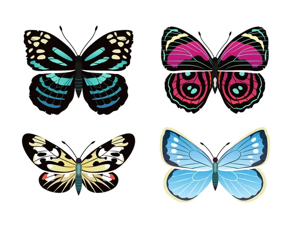 Parantica Melaneus koleksiyonu vektör çizim