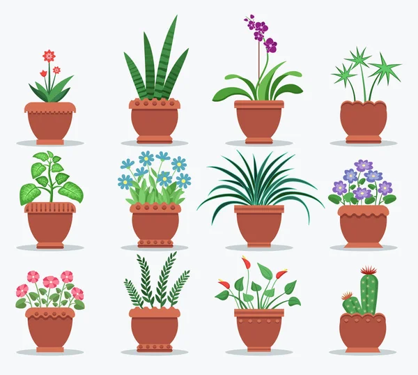 Plantas e flores para refrescar o interior —  Vetores de Stock