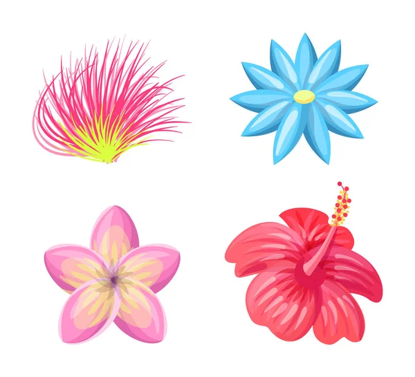 Plumeria Flores Trópico Set Vector Ilustración — Vector de stock