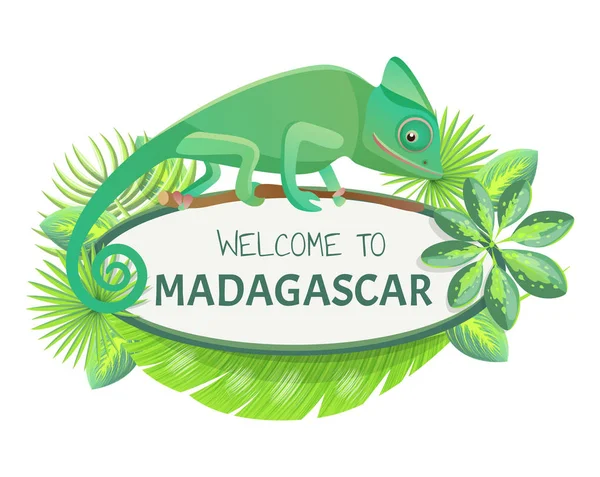 Καλωσορίσατε σε εικονογράφηση διάνυσμα Banner Μαδαγασκάρη — Διανυσματικό Αρχείο